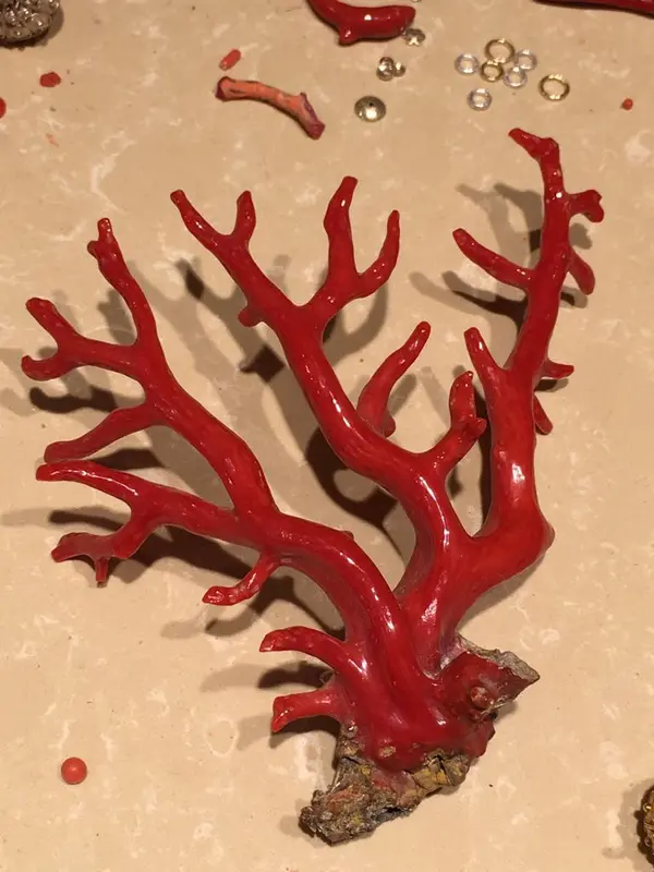 An Unforgettable Coral Experience in Dubrovnik: Exclusive Workshops at Clara Stones Studio 1