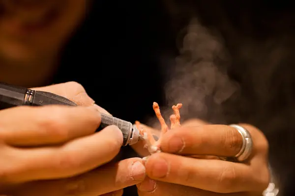 An Unforgettable Coral Experience in Dubrovnik: Exclusive Workshops at Clara Stones Studio 3