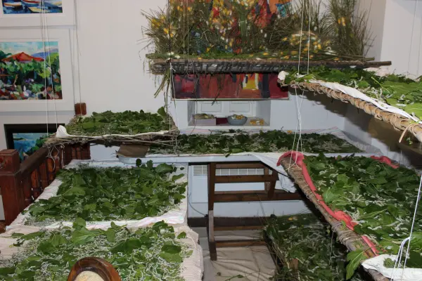 A Touch of Tradition in the Heart of Konavle: A Unique Silk-Making Incentive Workshop 1