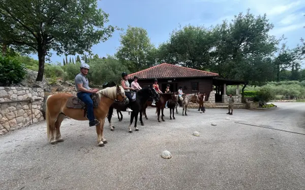 Explore Konavle from the Saddle: Why Horse Riding is the Perfect Choice for Your Next Incentive in Dubrovnik 1