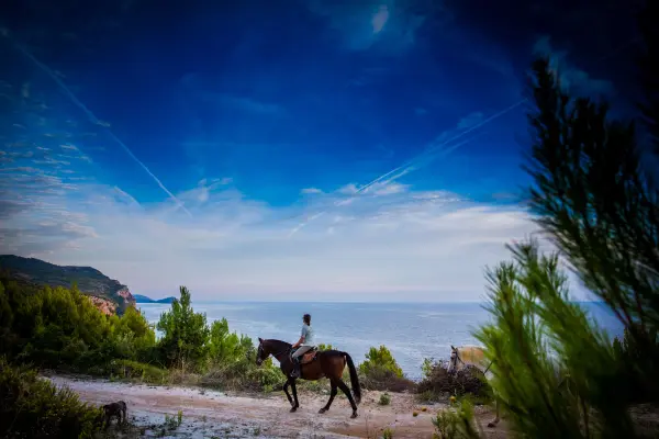 Explore Konavle from the Saddle: Why Horse Riding is the Perfect Choice for Your Next Incentive in Dubrovnik 2