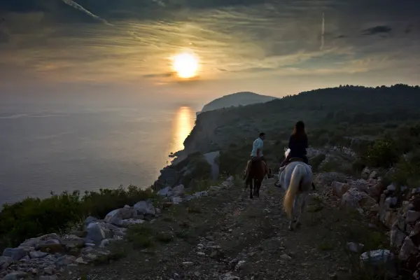 Explore Konavle from the Saddle: Why Horse Riding is the Perfect Choice for Your Next Incentive in Dubrovnik 3
