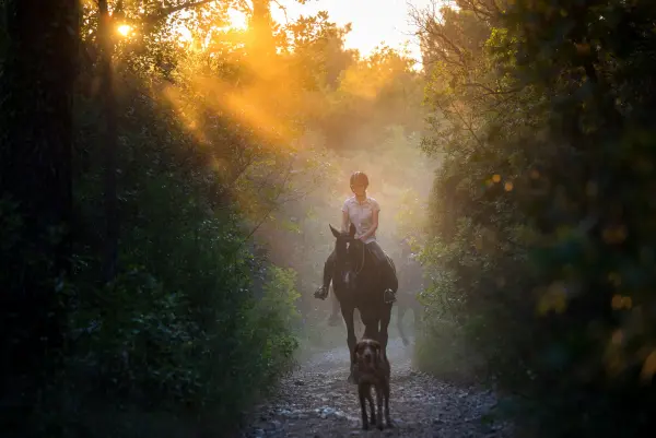 Explore Konavle from the Saddle: Why Horse Riding is the Perfect Choice for Your Next Incentive in Dubrovnik 4