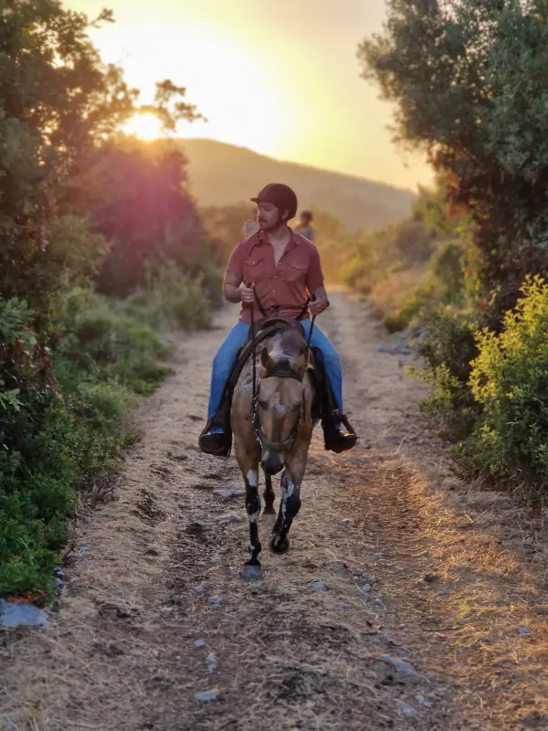 Explore Konavle from the Saddle: Why Horse Riding is the Perfect Choice for Your Next Incentive in Dubrovnik 5