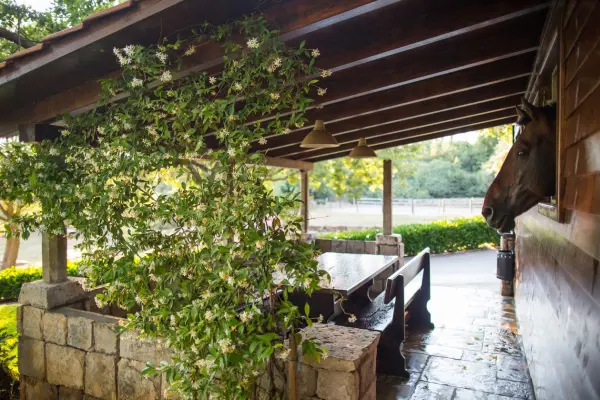 Explore Konavle from the Saddle: Why Horse Riding is the Perfect Choice for Your Next Incentive in Dubrovnik 7