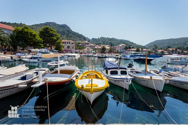 Take the plunge with a sea incentive and explore the enchanting Elaphite Islands