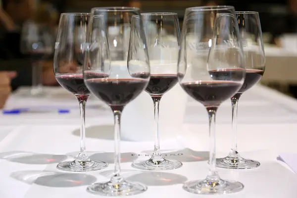 Embark on a Wine Journey in the Scenic Hills of Magnificent Pelješac
