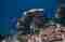 dbk_2024-z_marinovic-full-43_zoran-marinovic1