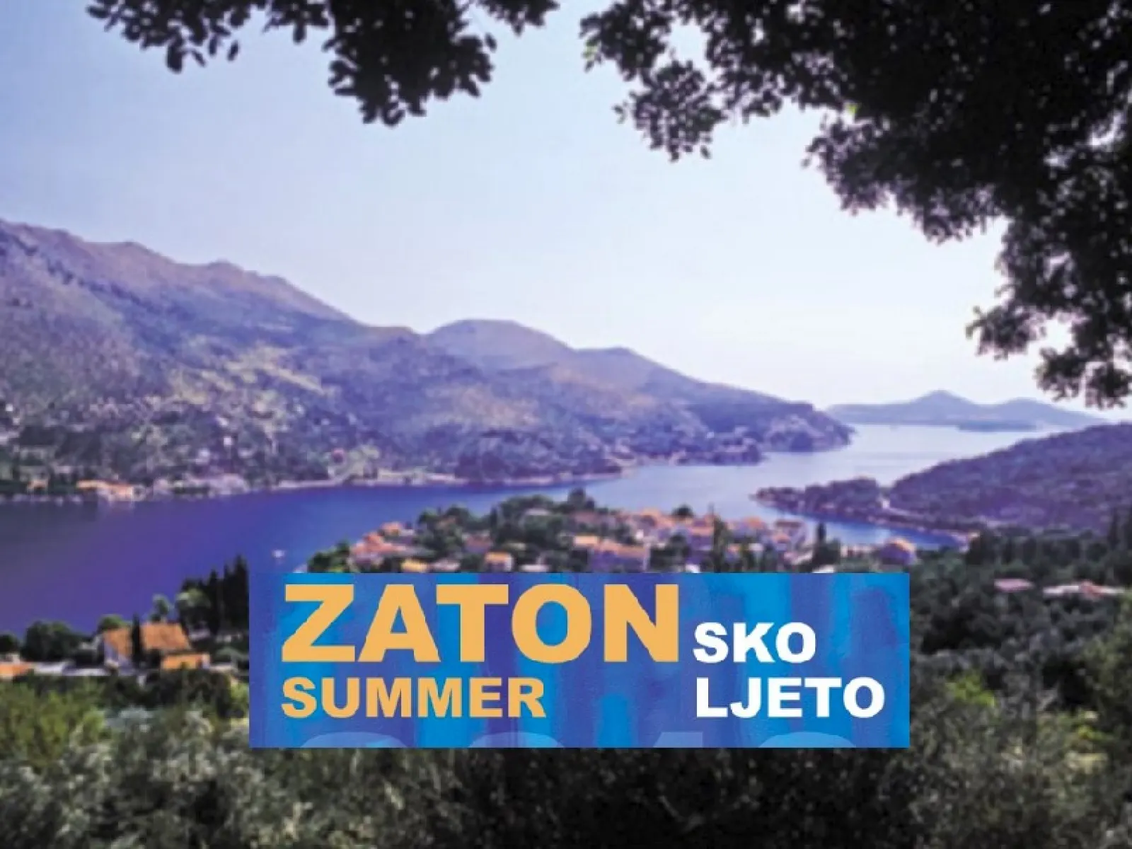 Zatonsko ljeto - Mali Zaton, – Ljetno kino Zaton,  Obiteljski film , Čarobno drvo