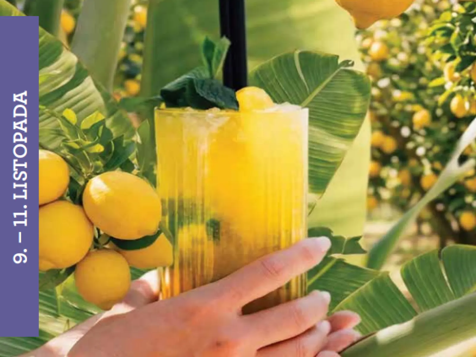 OBILAZAK VRTOVA LEMON GARDENS II 