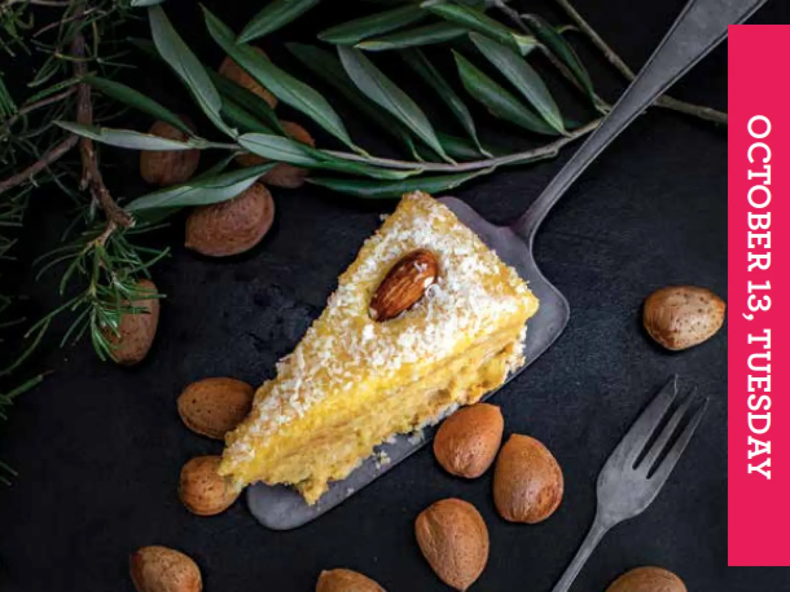 TORTA OD SKORUPA